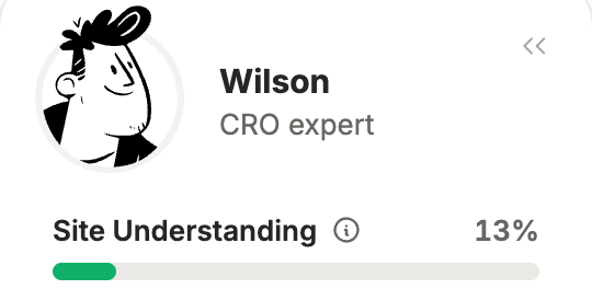 Wilson, CRO expert, with Site Understanding at 13%